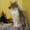 Отзыв от Альфия Зыкова